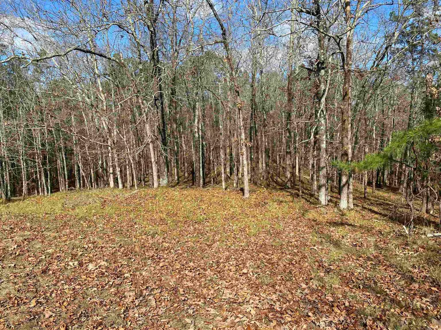 xxx Glenwood Court, Hot Springs, AR 71913 - Image #2