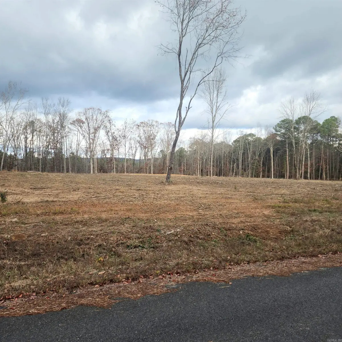 0 The Bluffs, Morgan, AR 72088 - Image #1