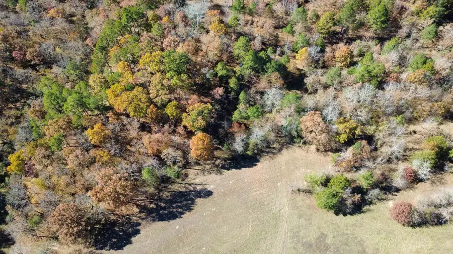 W Main Haul, Jessieville, AR 71949 - Image #2