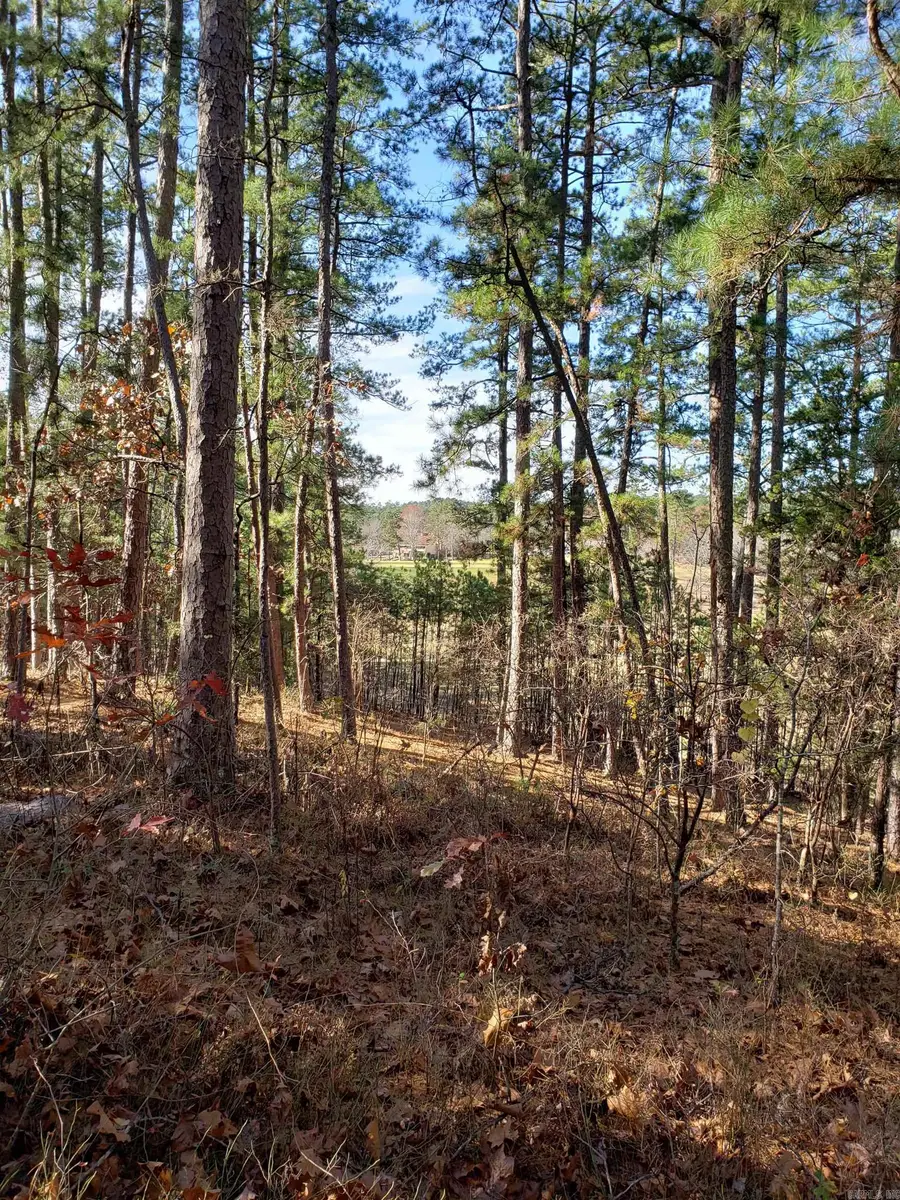 2 Dominar Lane, Hot Springs Village, AR 71909 - Image #3