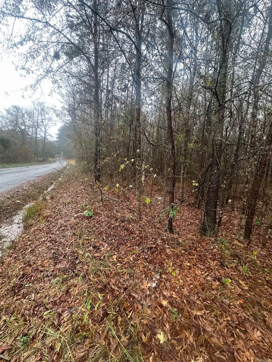 TBD Dogwood Drive, Sheridan, AR 72150 - Image #3