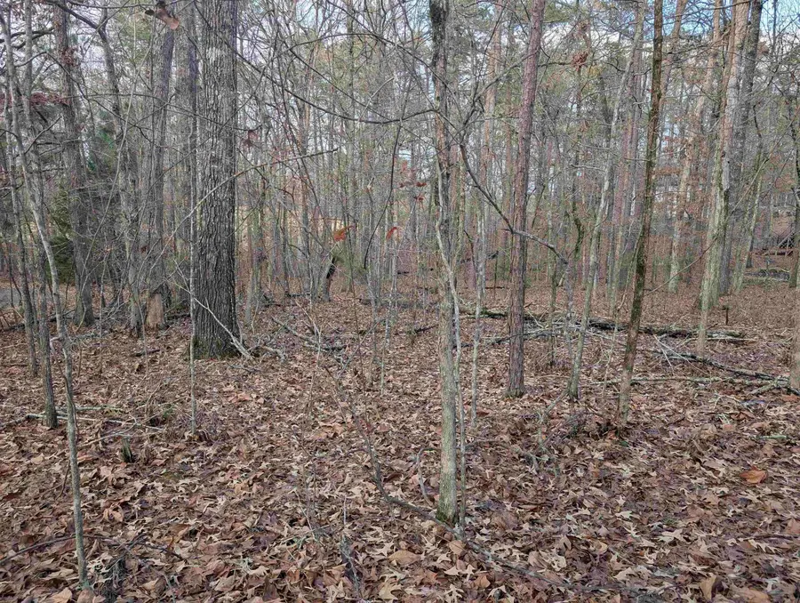 2 Morro Place, Hot Springs Village, AR 71909 - Image #3