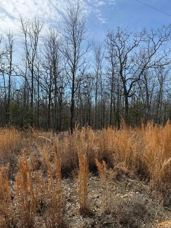 43 Megan Lane, Conway, AR 72032