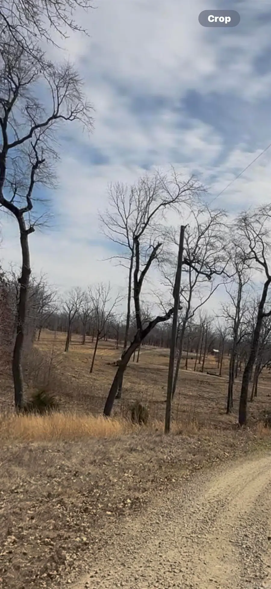 43 Megan Lane, Conway, AR 72032 - Image #3