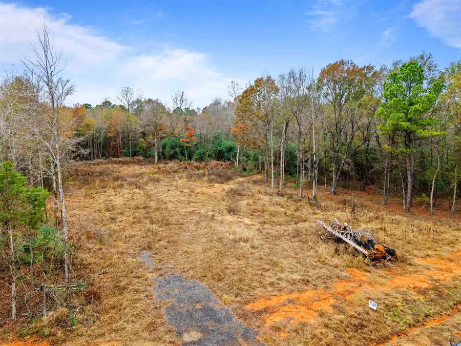 00 Timber Creek, Lonoke Township, AR 72086 - Image #3