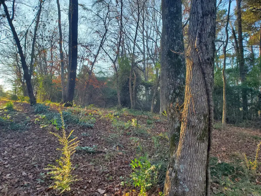 Lot 129 N 26th Street, Arkadelphia, AR 71923 - Image #3