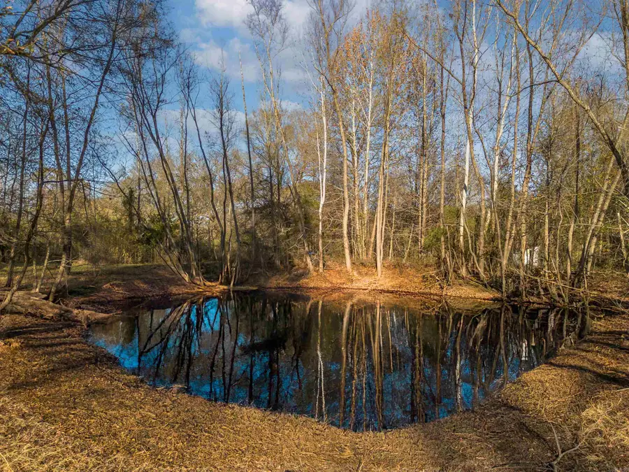 137 Union Rd., Greenbrier, AR 72058 - Image #2