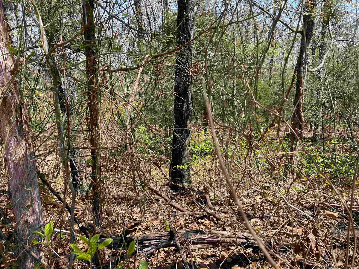 1305 E Indiana Avenue, Horseshoe Bend, AR 72512 - Image #1