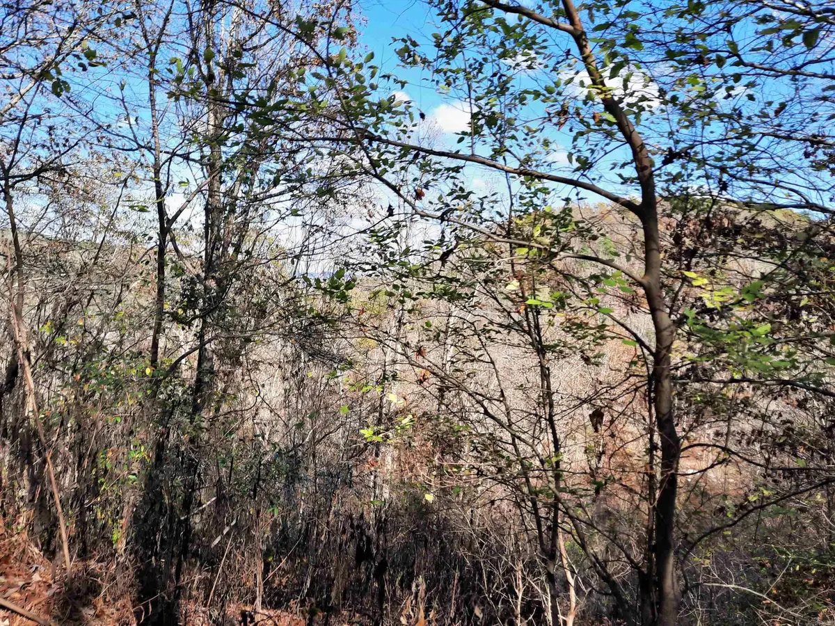 Address Withheld By Seller, Mountain View, AR 72560 - Image #1