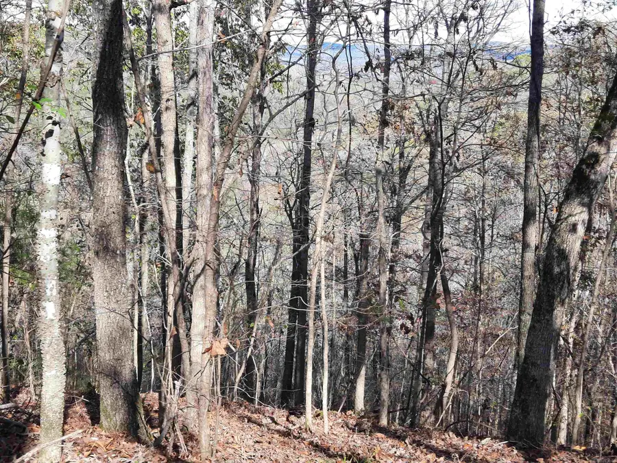 Address Withheld By Seller, Mountain View, AR 72560 - Image #3