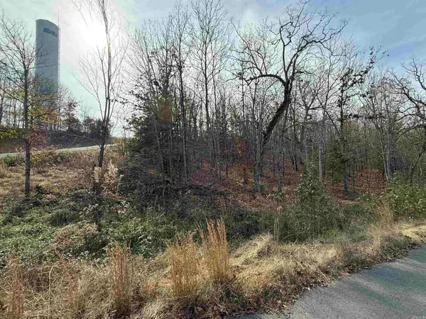 Tract 94 95 Vernon Court Road, Austin, AR 72007