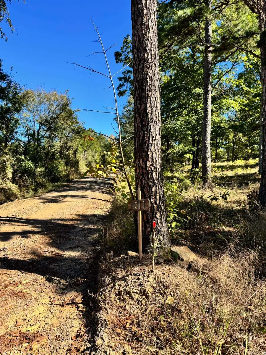 1011 Granny Hollar Road, Atkins, AR 72823 - Image #2