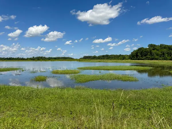 0 Lawrence Rd 348, Alicia, AR 72410