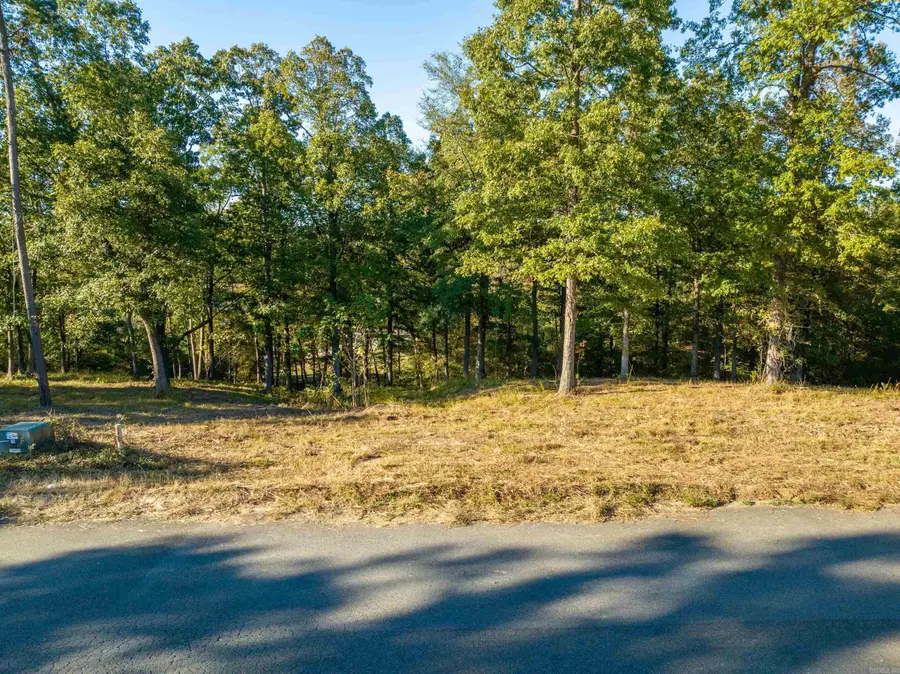 LOT 43 Windsong Bay Drive, Hot Springs, AR 71901 - Image #2