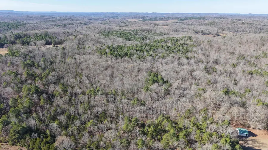 1442 State Hwy 69, Sage, AR 72573 - Image #3