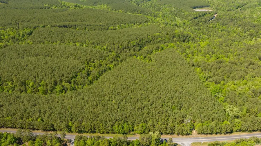 000 Burnt Ridge Road (tract 3), Shirley, AR 72153 - Image #3