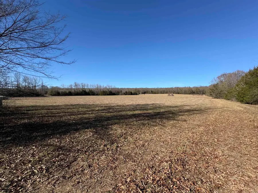 Tract 2 Ridge Road, El Paso, AR 72045 - Image #3