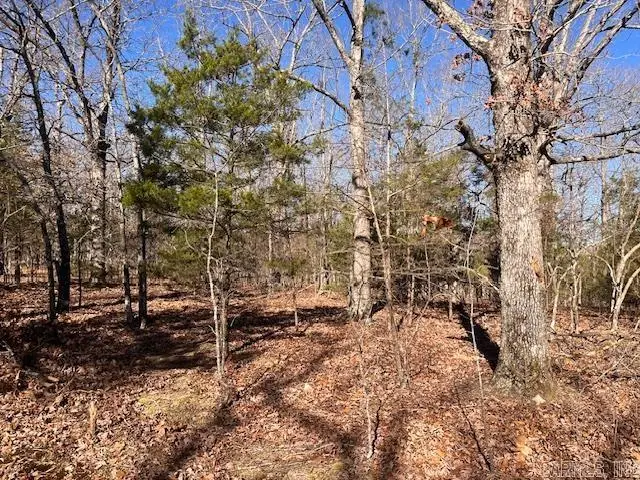 Monahan Road, Mountain View, AR 72560 - Image #3