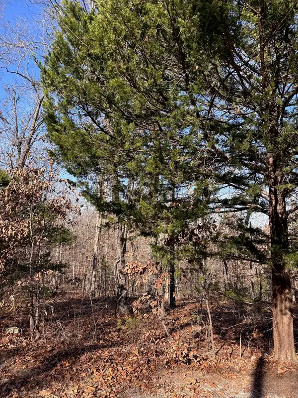 0 Loxahatchee, Cherokee Village, AR 72529