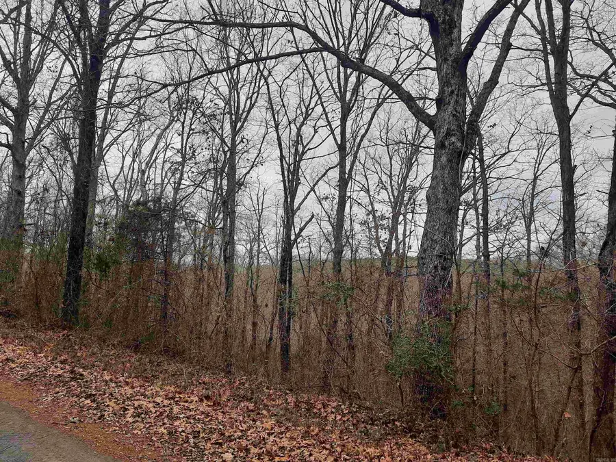 Address Withheld By Seller, Shirley, AR 72153 - Image #2