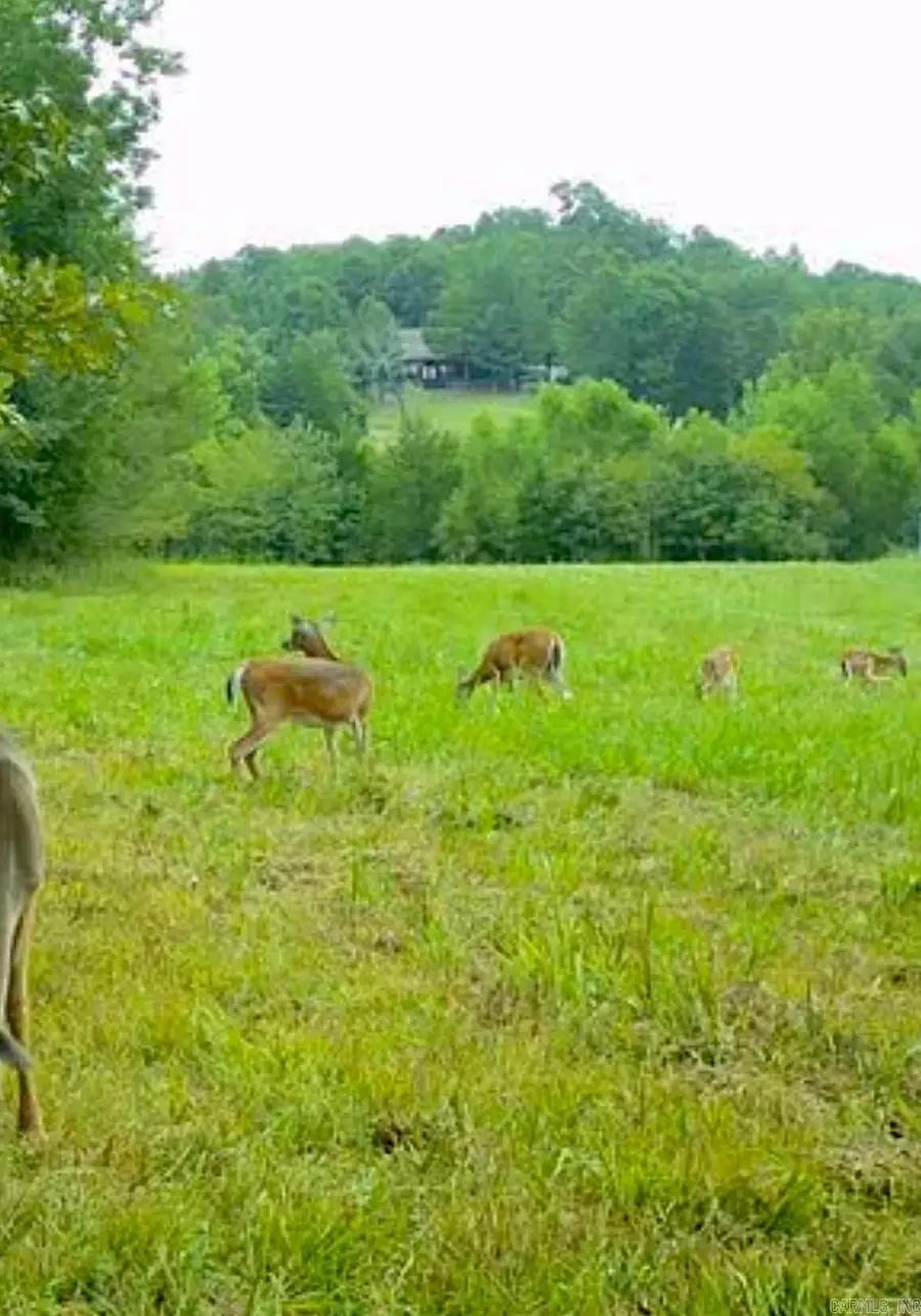 150 Twin Creeks, Ben Lomond, AR 71823 - Image #2