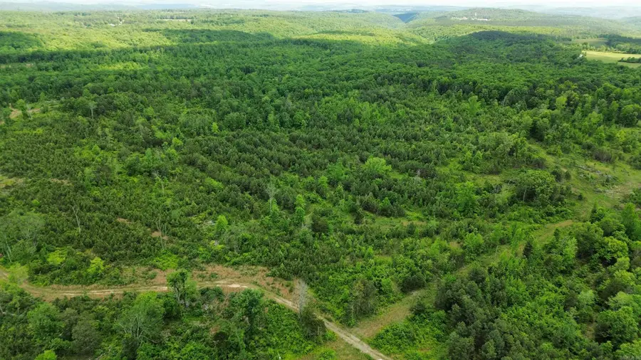 5000 Shady Grove Road, Shirley, AR 72153 - Image #2