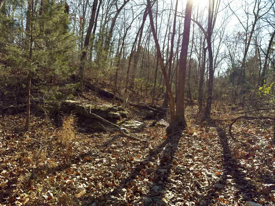 Pleasant Run Rd, Mammoth Spring, AR 72554 - Image #3