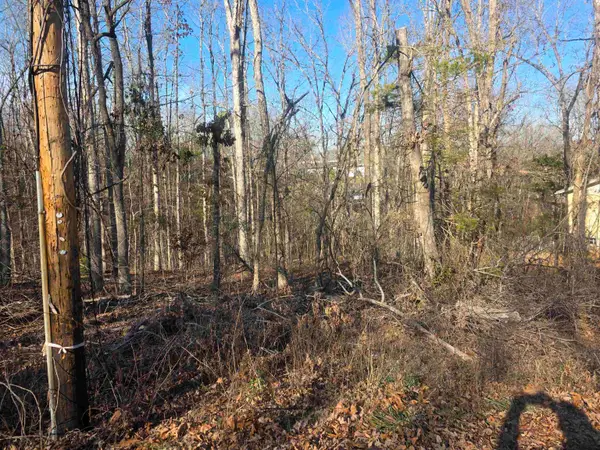 L-4 B-4 Powhatan Drive, Cherokee Village, AR 72529