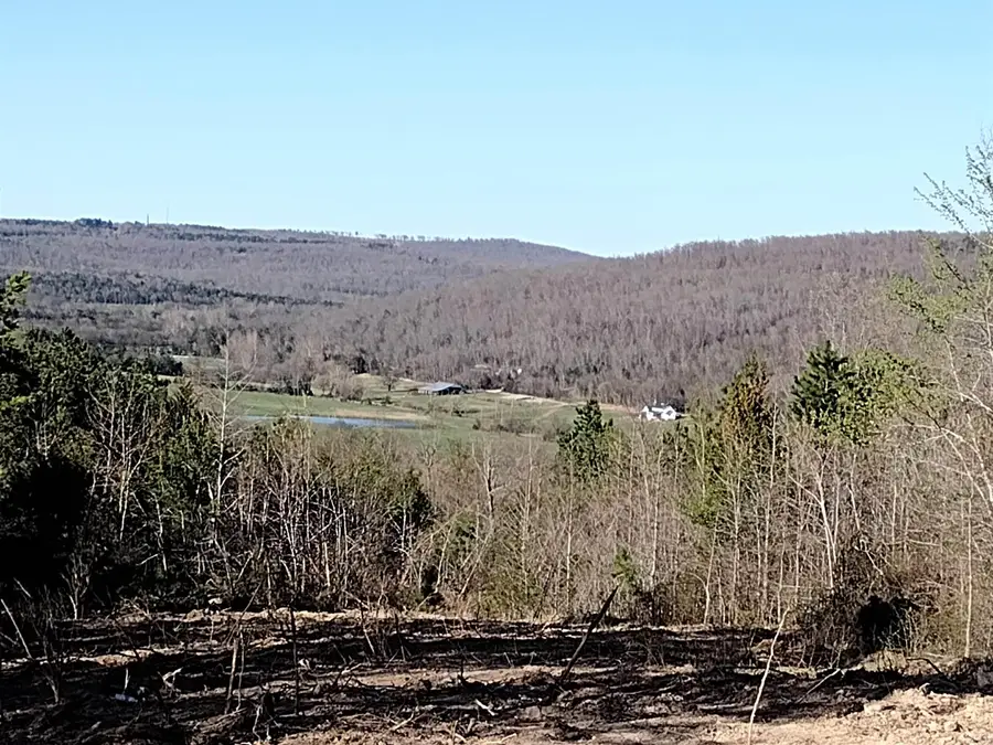 0000 Sunnyland Road, Mountain View, AR 72560 - Image #2