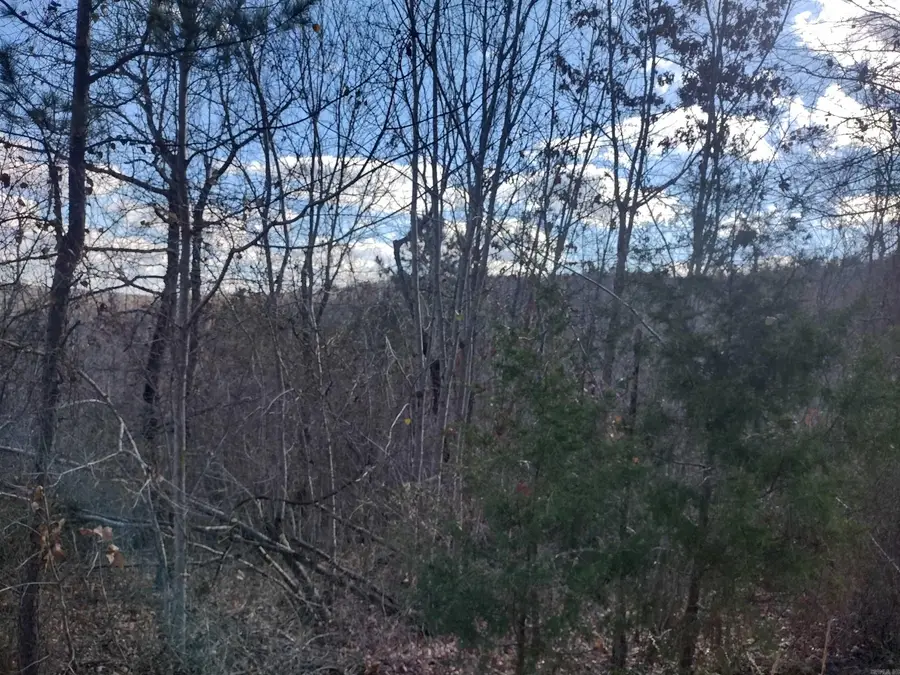 0000 Sunnyland Road, Mountain View, AR 72560 - Image #3