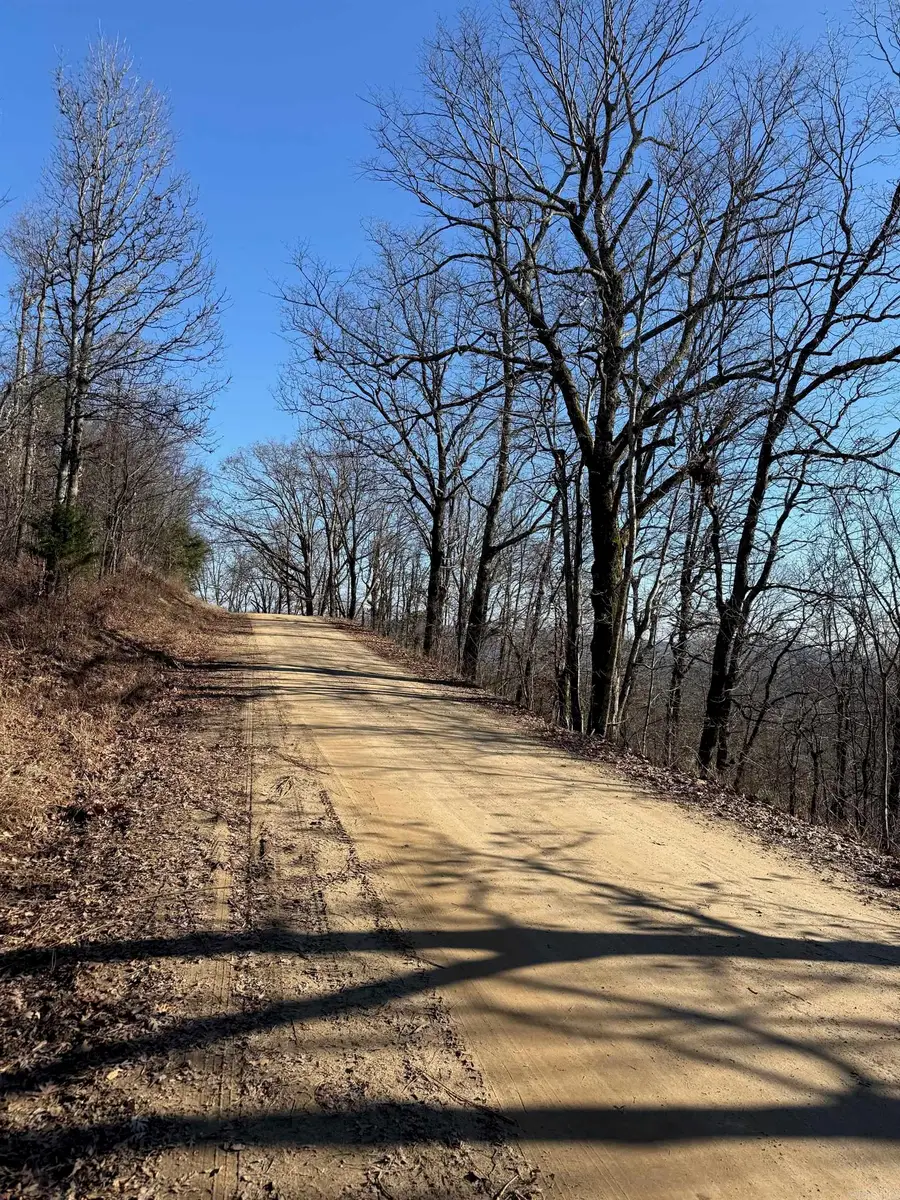 TBD Cr 5261, Oark, AR 72852 - Image #3