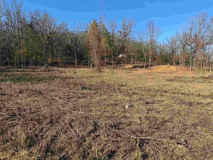 568 Peckerwood Lane, New Blaine, AR 72851 - Image #2