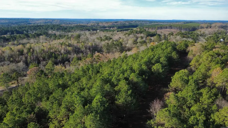 Broken Bow Lane, Bismarck, AR 71929 - Image #3