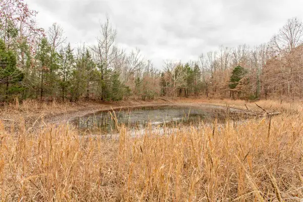 000 Valley Chapel Road, Ravenden Springs, AR 72460