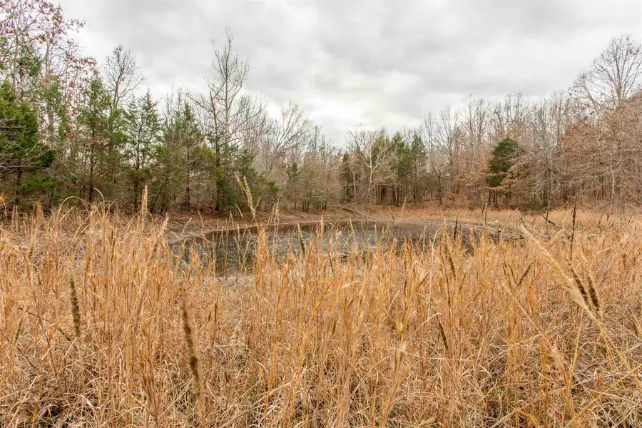 000 Valley Chapel Road, Ravenden Springs, AR 72460 - Image #2