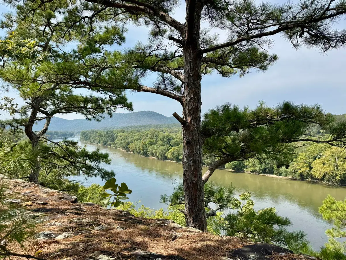 70 Mount Olive Road, Melbourne, AR 72556 - Image #1