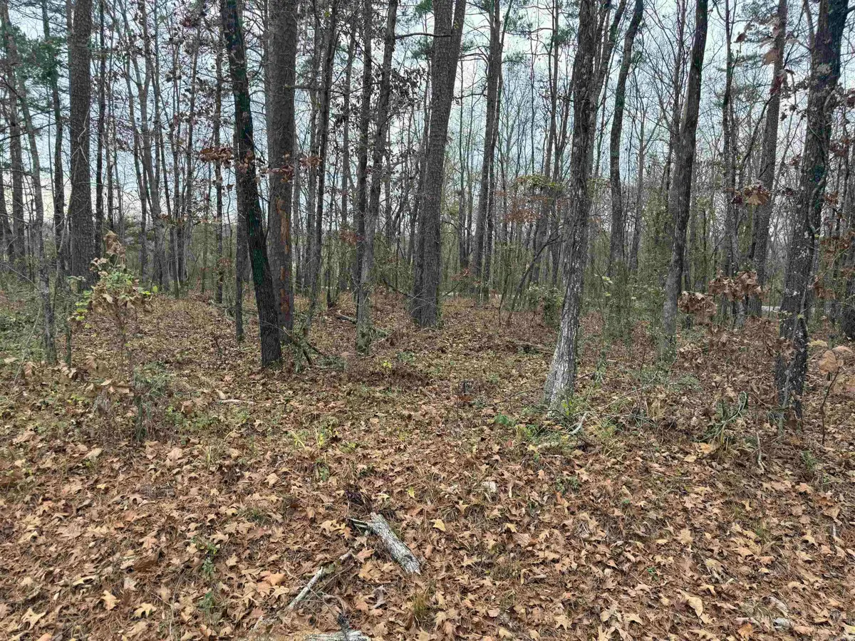 51 Estrella Way, Hot Springs Village, AR 71909 - Image #1