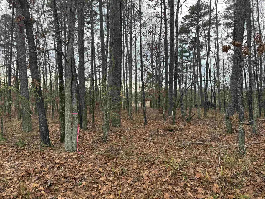 51 Estrella Way, Hot Springs Village, AR 71909 - Image #2