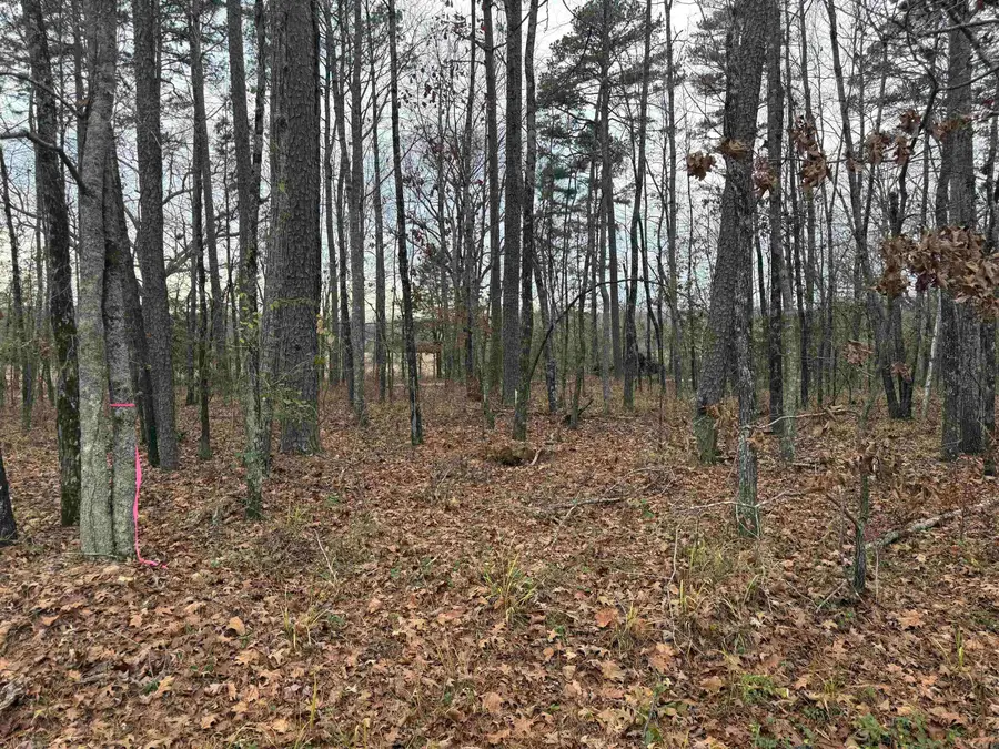 51 Estrella Way, Hot Springs Village, AR 71909 - Image #3