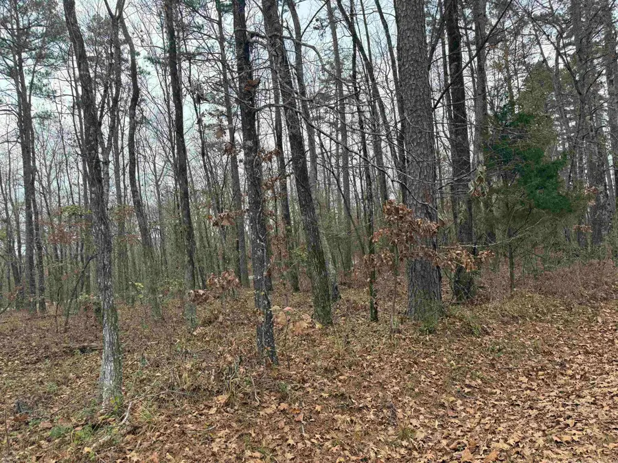 53 Estrella Way, Hot Springs Village, AR 71909 - Image #2