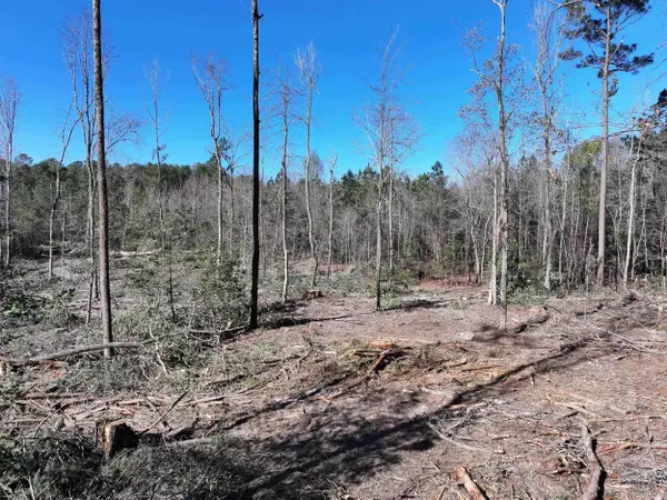 XXX Kaitlyn Lane, Malvern, AR 72104