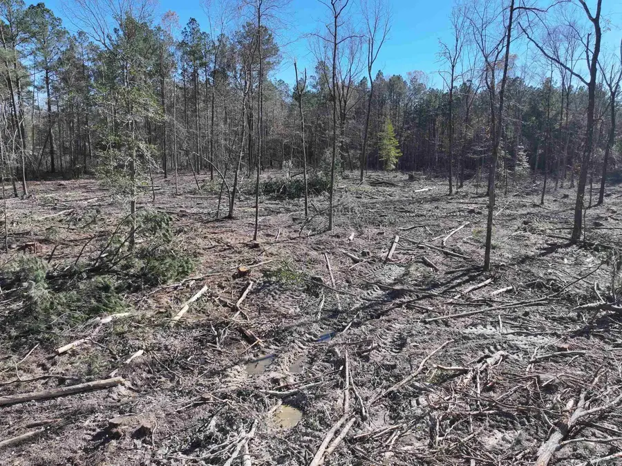 XXX Kaitlyn Lane, Malvern, AR 72104 - Image #2