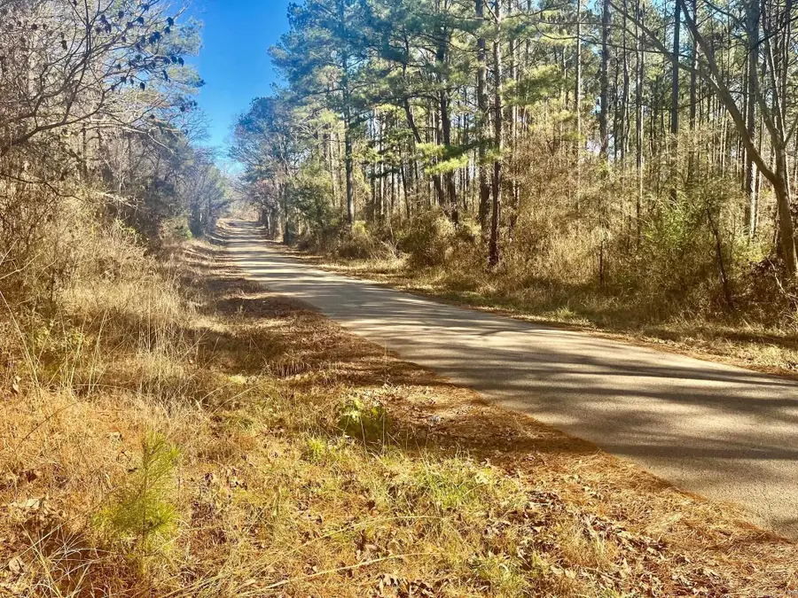 930 Cox Creek, Valley, AR 71921 - Image #2