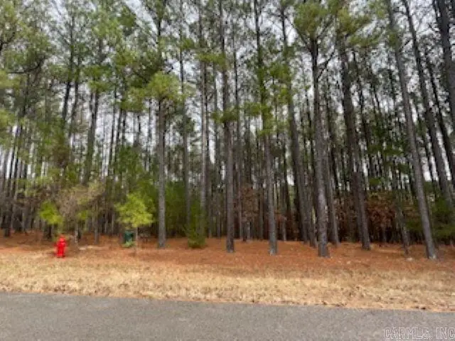 Address Withheld By Seller, Hot Springs Village, AR 71909 - Image #2