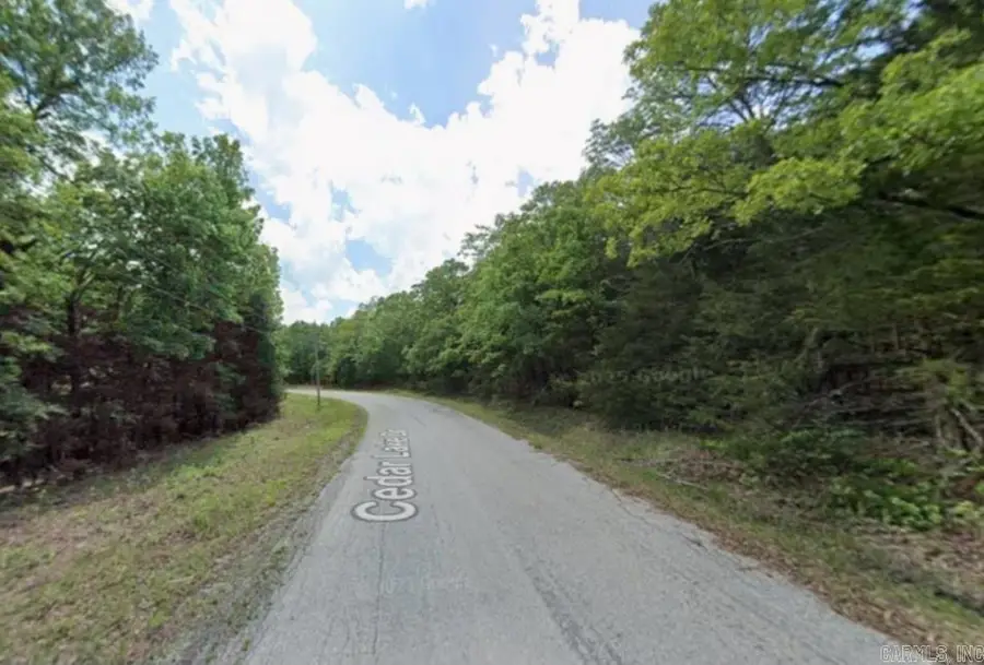 1102 Cedar Lake Drive, Horseshoe Bend, AR 72512 - Image #3