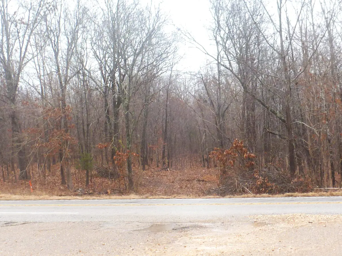 TBD N Hwy 63, Hardy, AR 72542 - #1