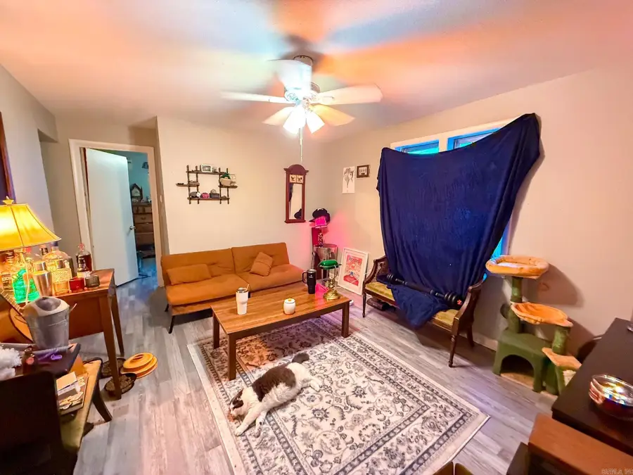 287 Patton Street, Clinton, AR 72031 - #2