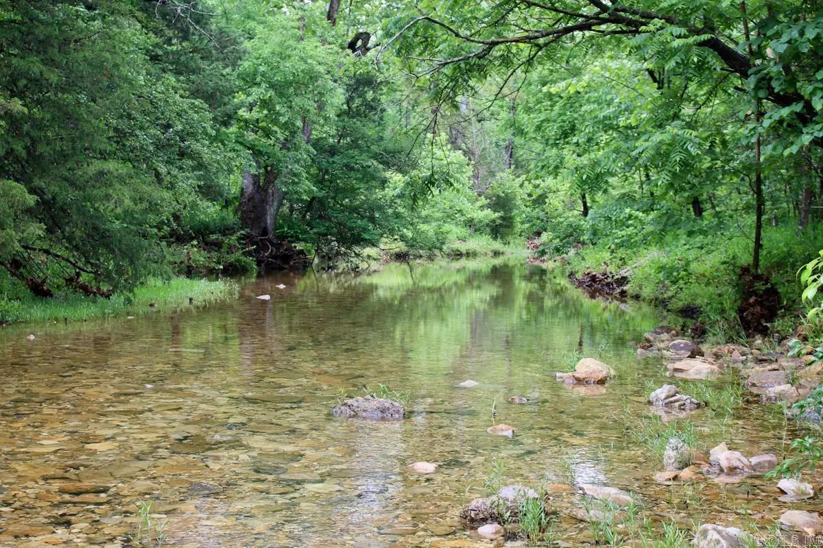 1245 Cr 124, Calico Rock, AR 72519 - #1