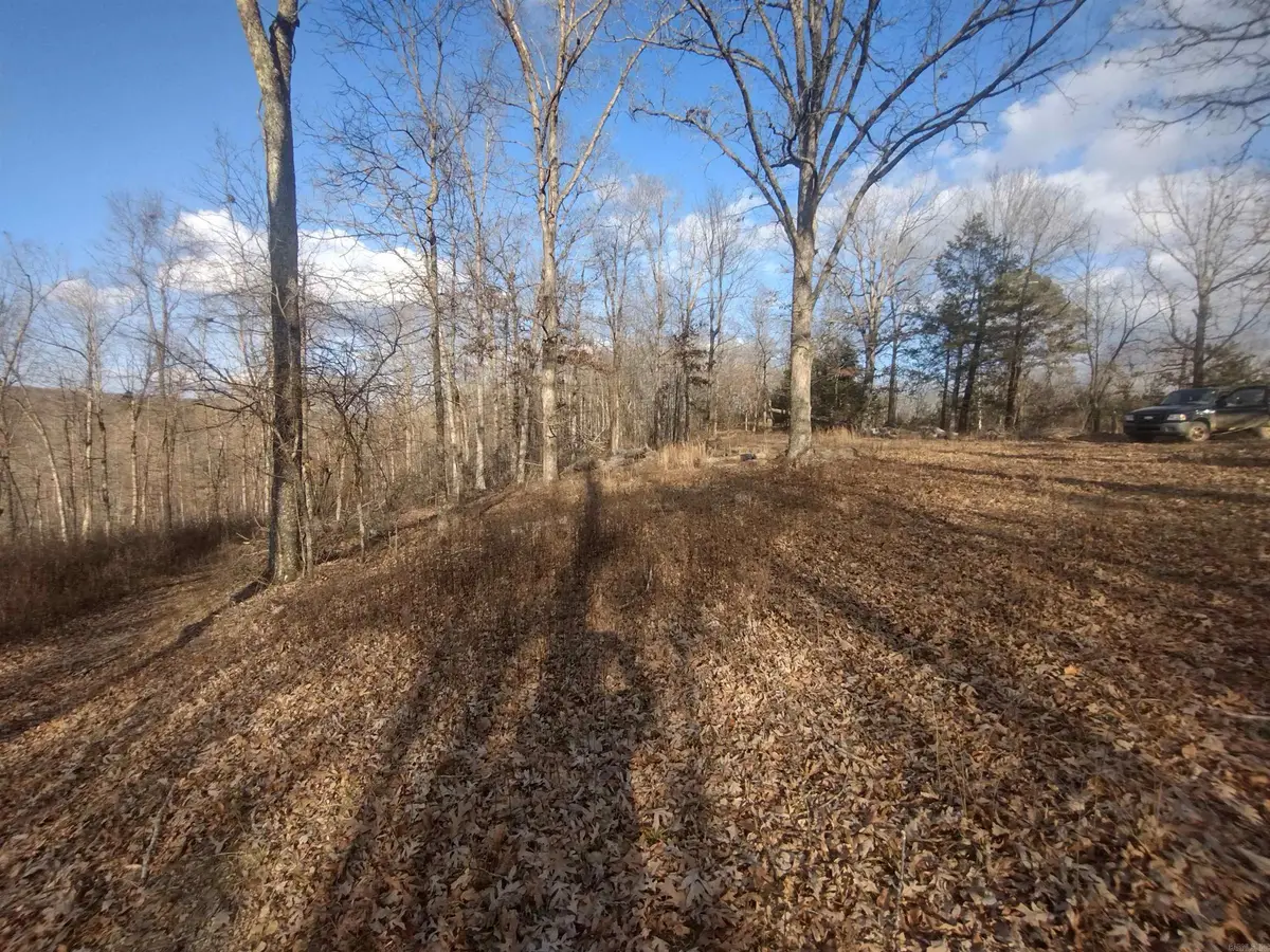 140 Brushy Creek Rd, Mountain View, AR 72560 - Image #1