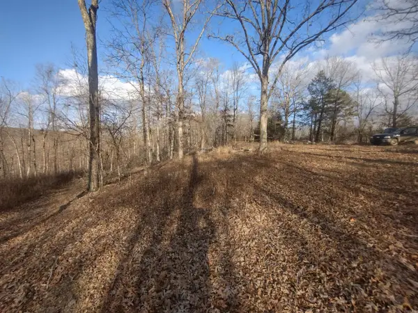 140 Brushy Creek Rd, Mountain View, AR 72560